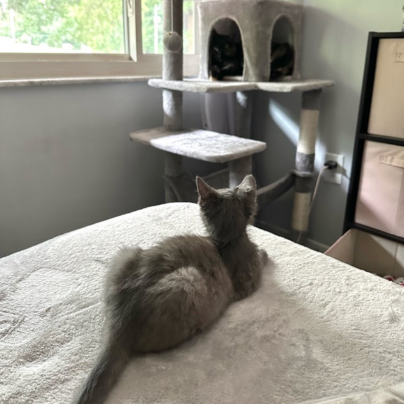 Meet your Posher, Samantha! - Picture 9 of 12